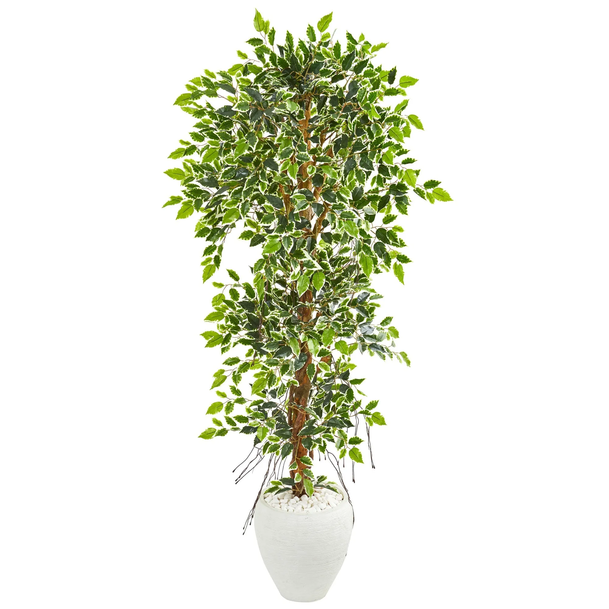 5.5' Elegant Ficus Artificial Tree in White Planter