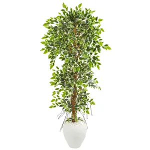 5.5' Elegant Ficus Artificial Tree in White Planter