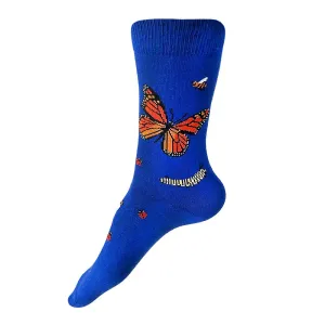 One Night Socks / Click for Styles