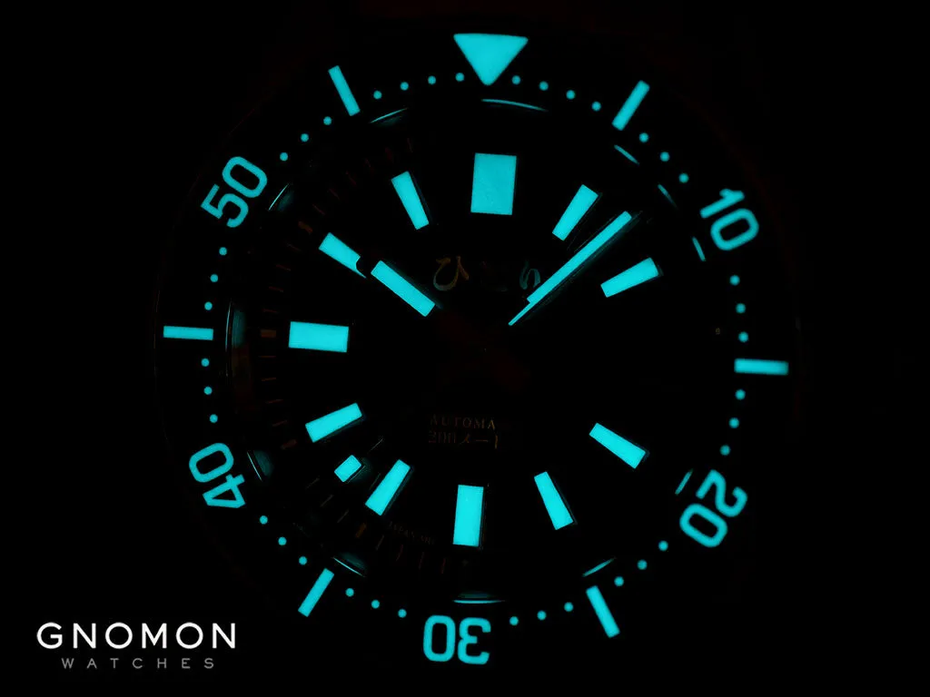 Ryukyu Diver Retro Black
